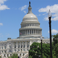 US-Capitol-Dome-Wiki