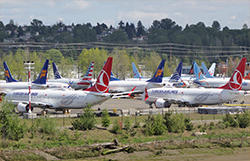 Grounded-737-MAX-Aircraft-Wiki-250