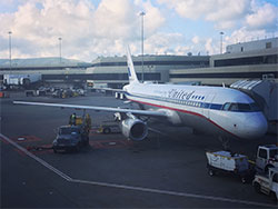 United-Airlines-A320-at-gate-wiki-250